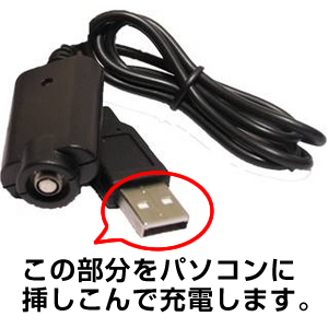 DT 01 USB[d
