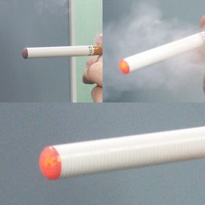 GRX[J[(ECO Smoker)dq΂
