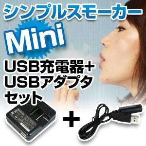 VvX[J[Mini USB[d{USBA_v^Zbg